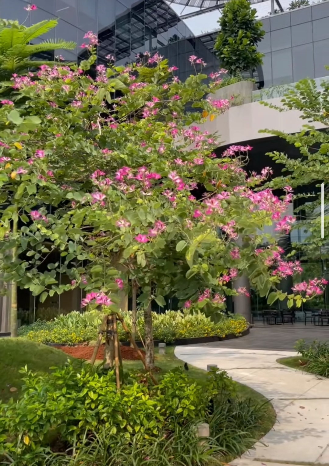 screenshot 2026 03 09 22 55 11 832 com.ss.android.ugc.trill edit.jpg