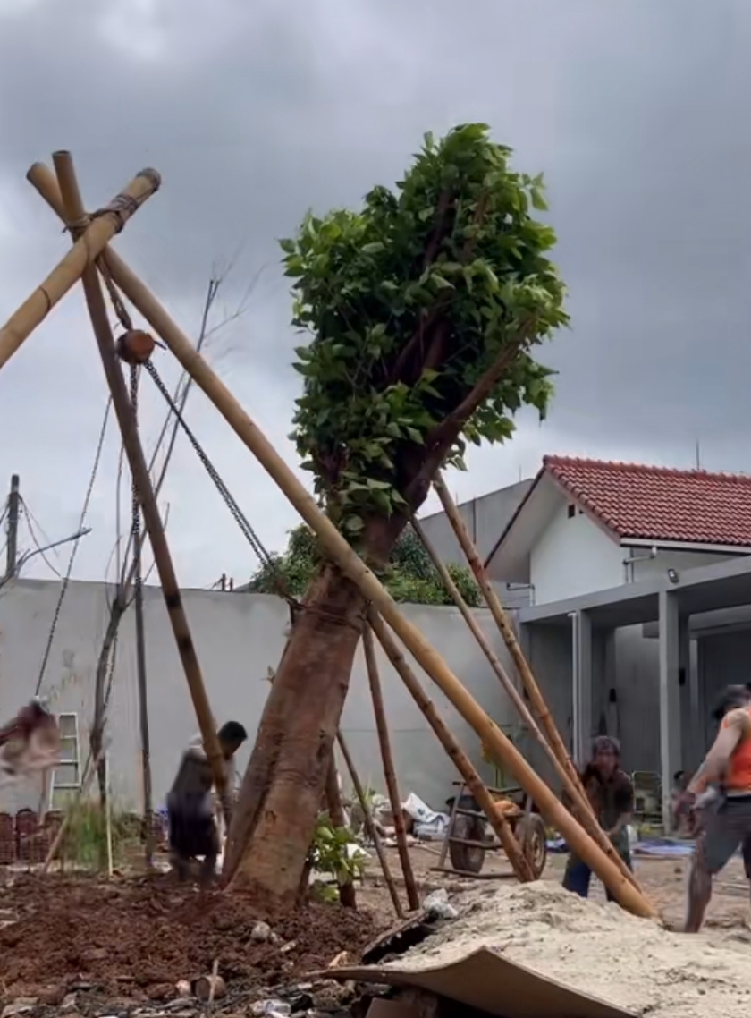 screenshot 2026 03 09 23 10 16 696 com.ss.android.ugc.trill edit.jpg